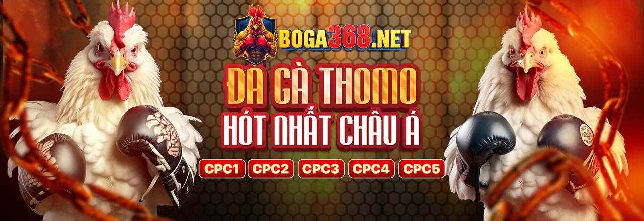 Banner Blog Banca05