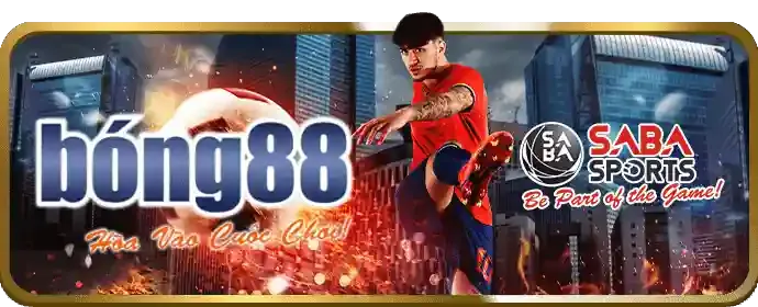 Đá gà Thomo uy tín tại banca05